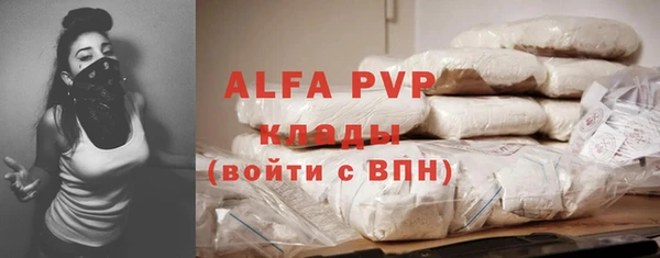 стаф Заводоуковск