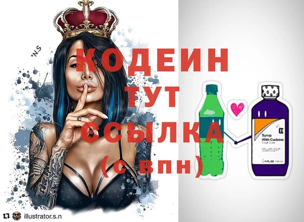 стаф Заводоуковск