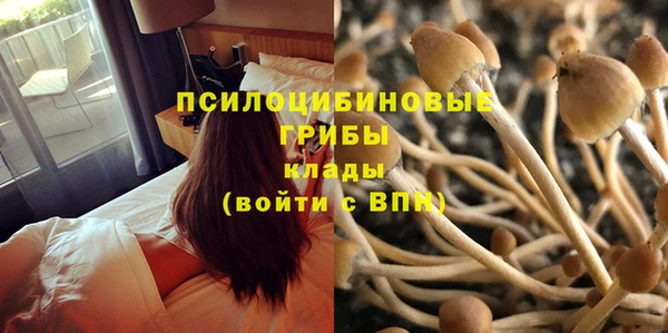 стаф Заводоуковск