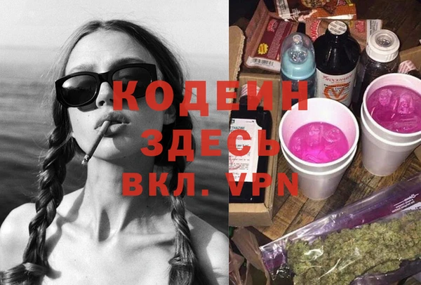 стаф Заводоуковск