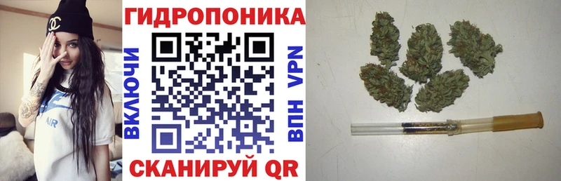Купить Бологое Канабис Amnesia